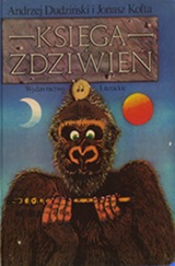 The Book of Bewilderment