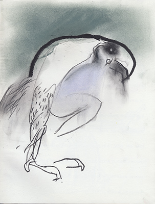 Ptaszysko&nbsp;&nbsp;&nbsp;&nbsp;1999&nbsp;&nbsp;&nbsp;&nbsp;kredka olejowa, grafit i pastel&nbsp;&nbsp;&nbsp;&nbsp;31 x 24cm
