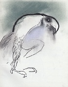 Ptaszysko&nbsp;&nbsp;&nbsp;&nbsp;kredka olejowa, grafit i pastel&nbsp;&nbsp;&nbsp;&nbsp;31 x 24cm